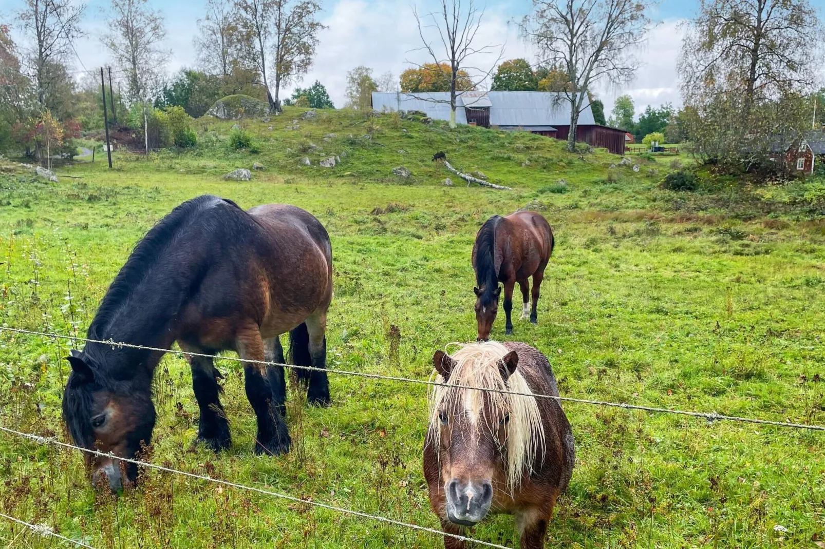 4 sterren vakantie huis in Hok-By Traum-Buitenlucht
