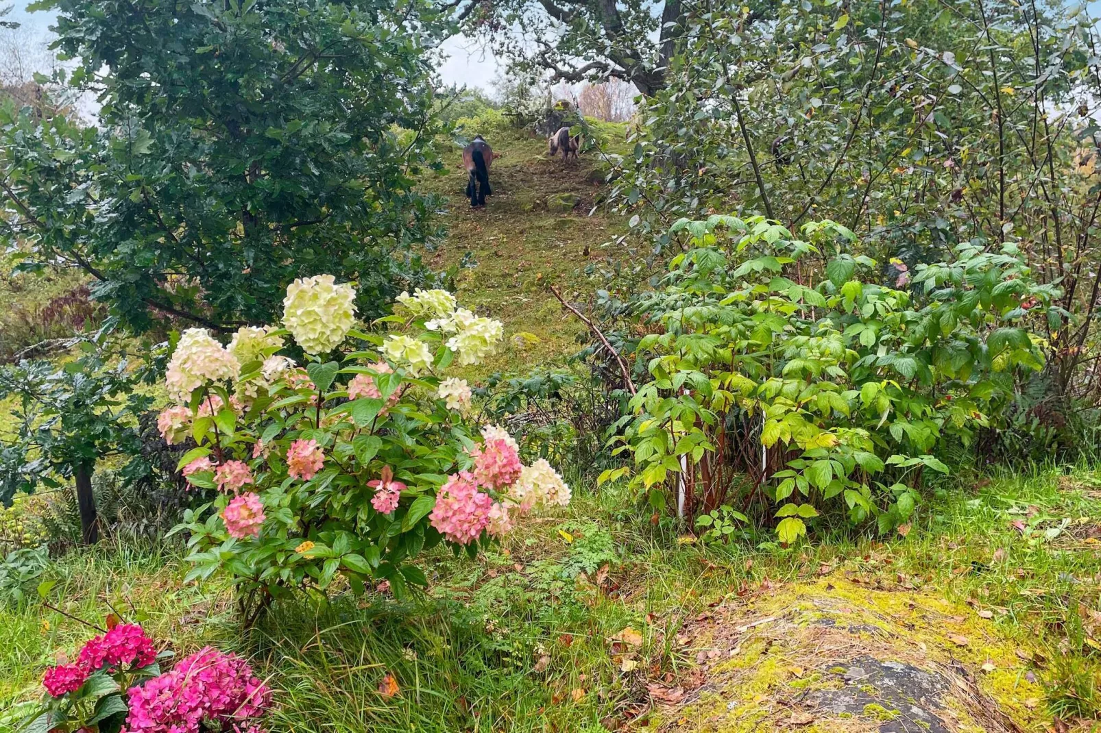 4 sterren vakantie huis in Hok-By Traum-Buitenlucht