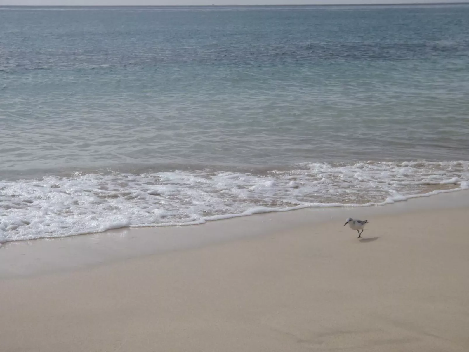 Strandnahe Ferienwohnung in Morro Jable-Binnen