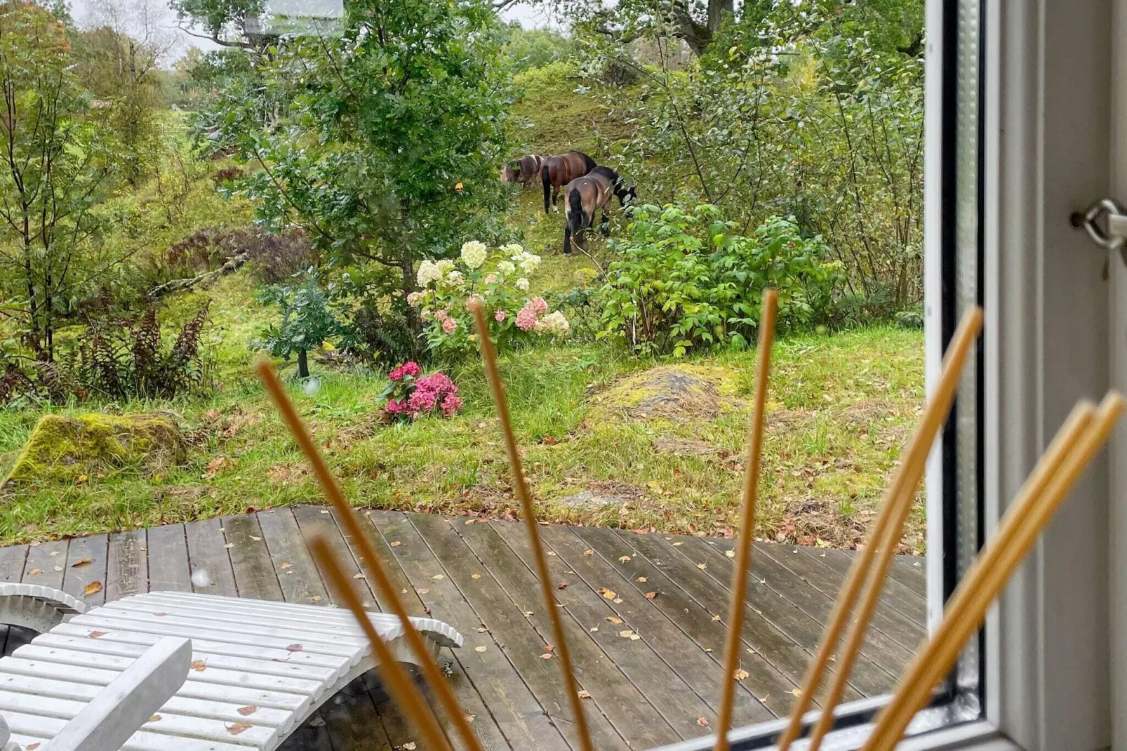 4 sterren vakantie huis in Hok-By Traum-Binnen