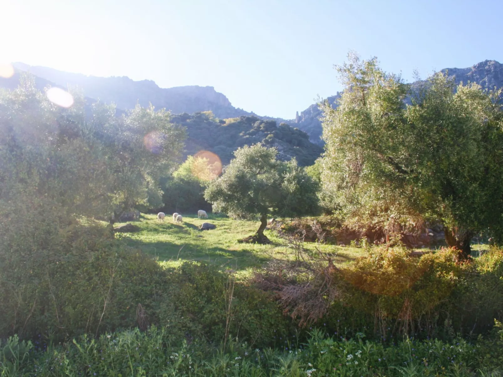 Gemütliches Landhaus Betania in Grazalema-Binnen