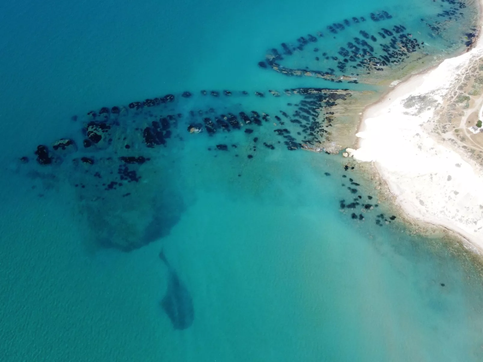 Wohnung 4 - Studio-Binnen