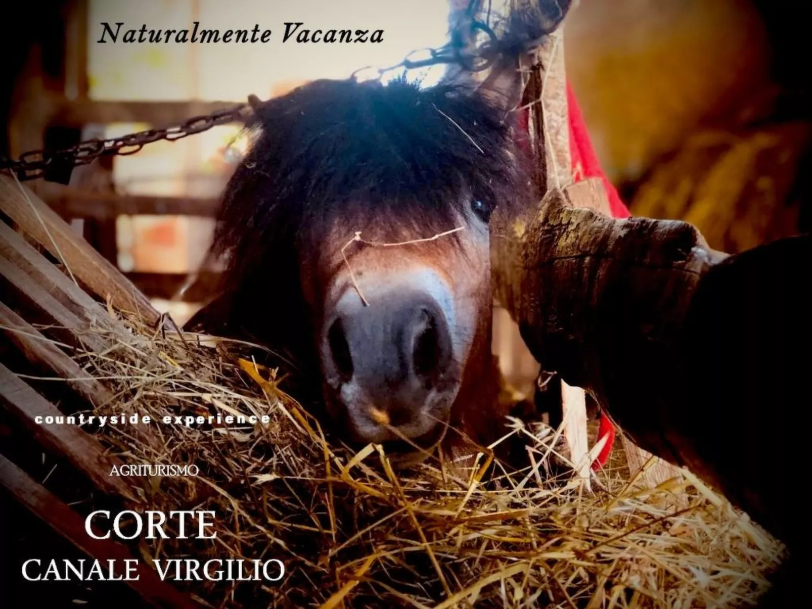 Das Landgut "Corte Canale Virgilio" mit Balkon-Buiten