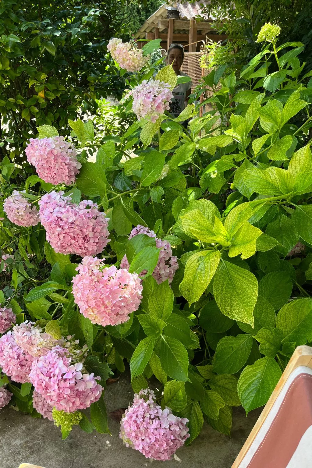 Typisches Bauernhaus mit holzbefeuertem Kamin-Buiten