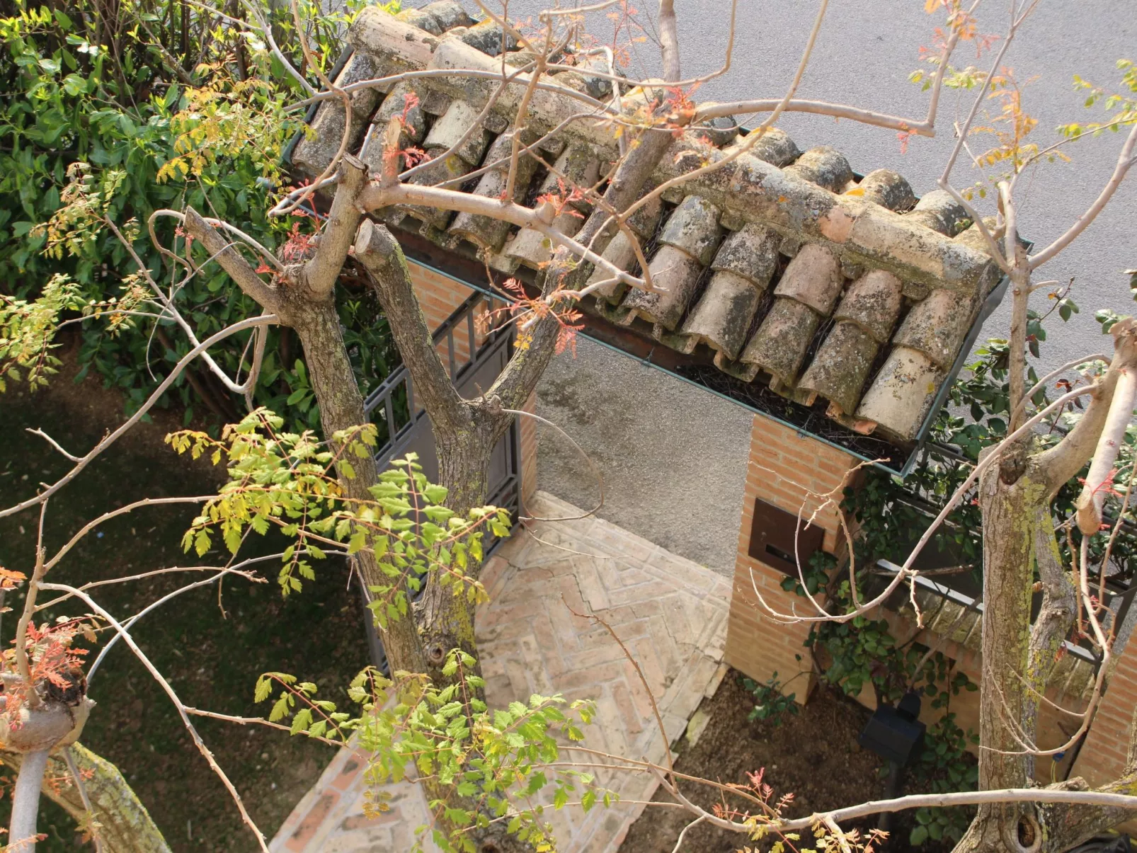 "Daphne Experience".-Binnen