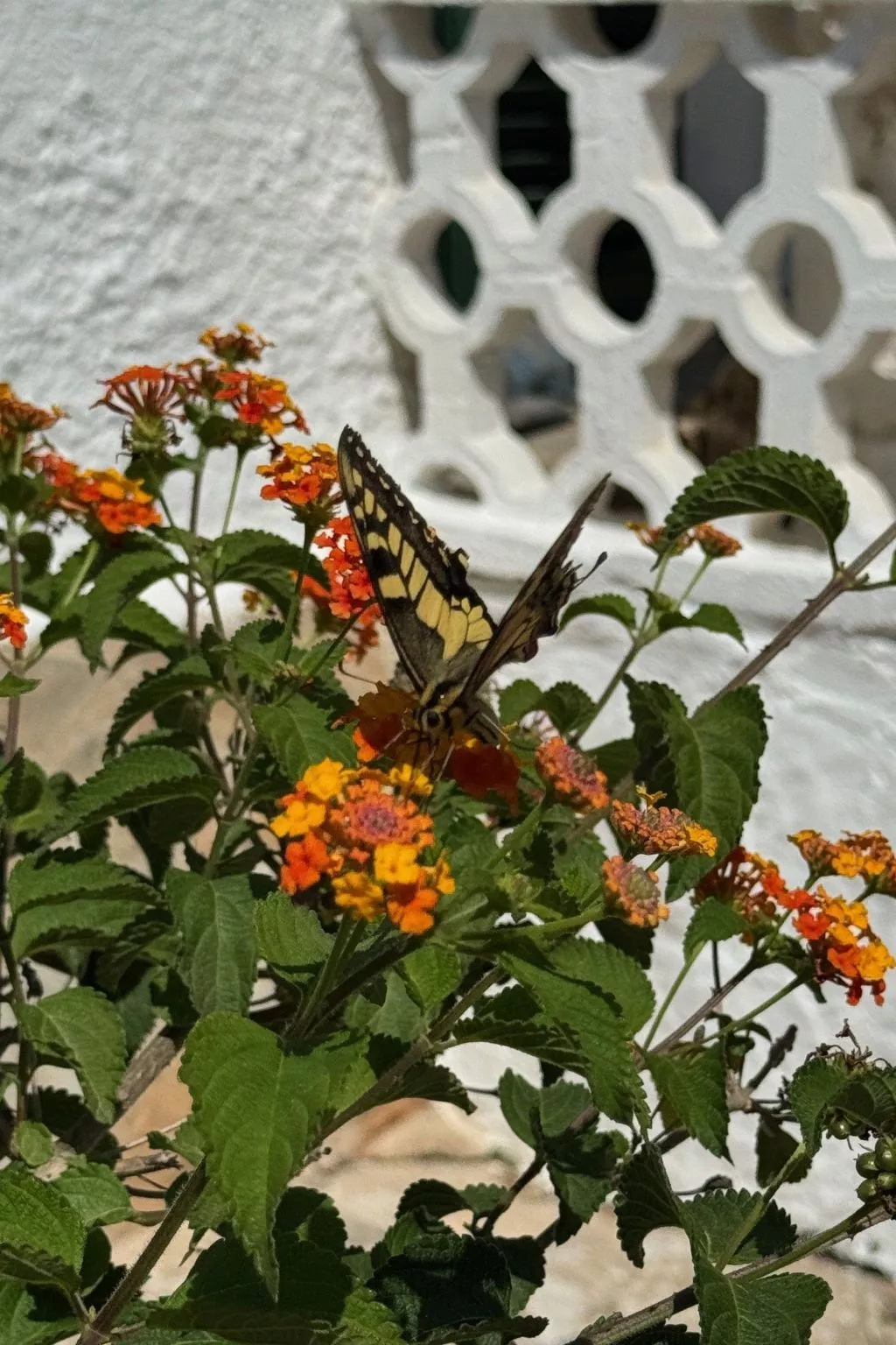 Casita Menorca Privé-Buiten