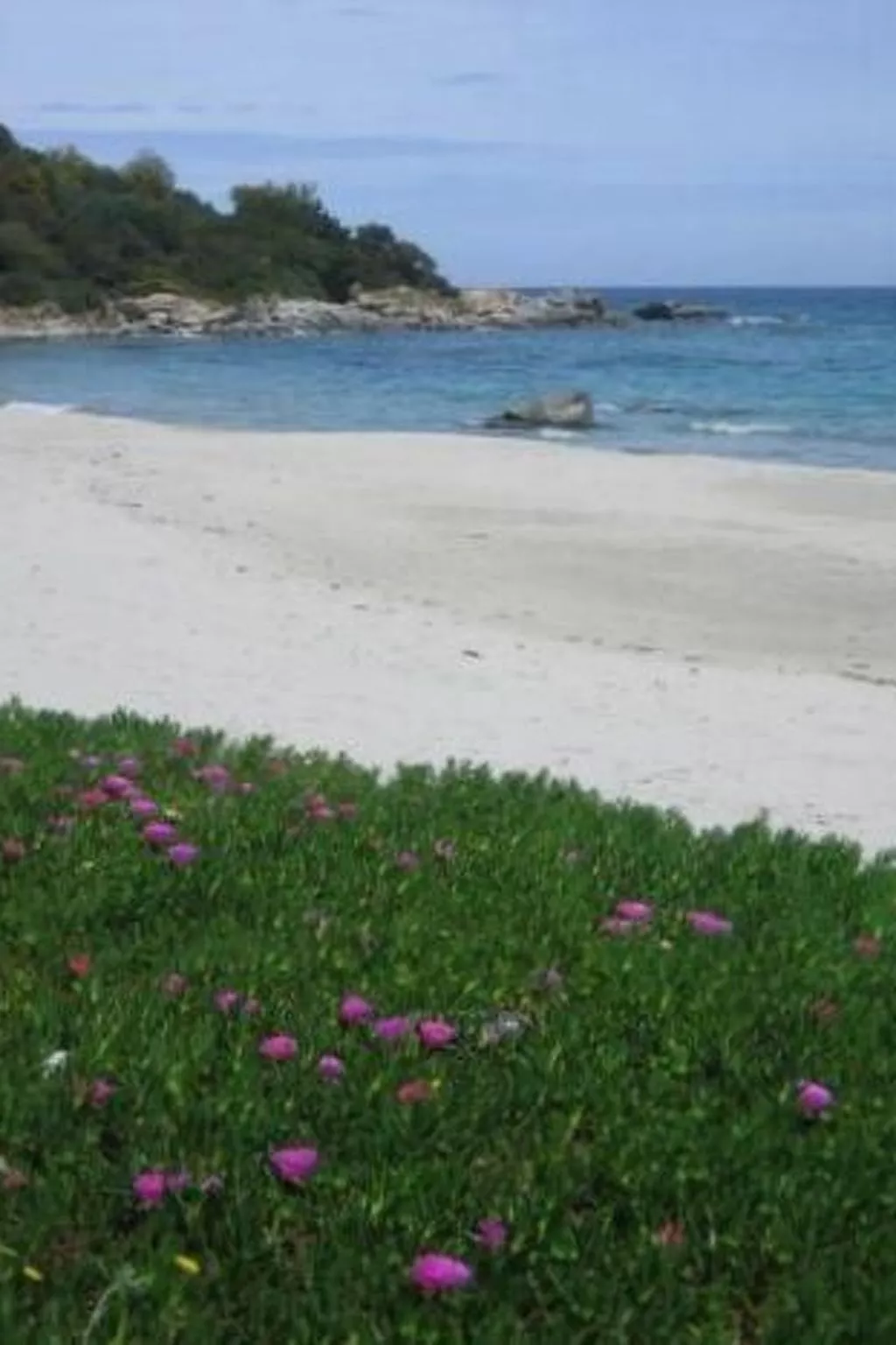 Natur, ökologische Nachhaltigkeit, nur für Erwachsene, Meer in der Nähe-Binnen