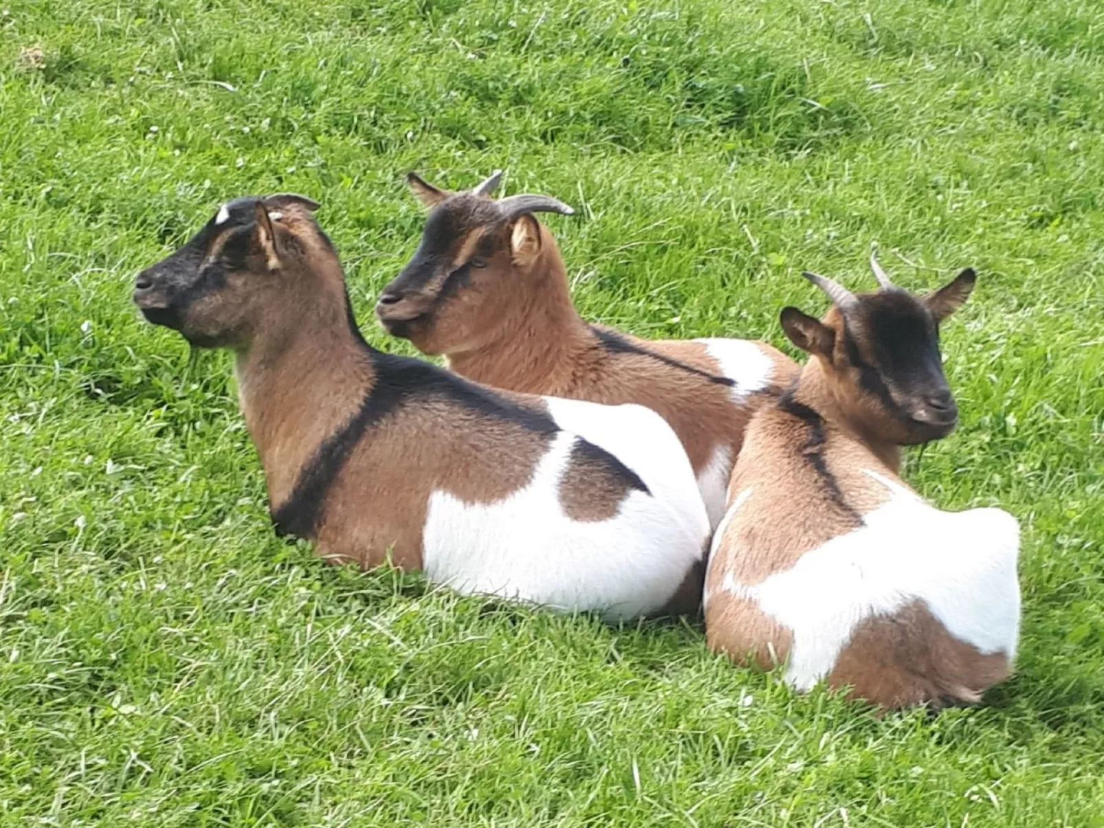 Kompatscherhof-Buiten