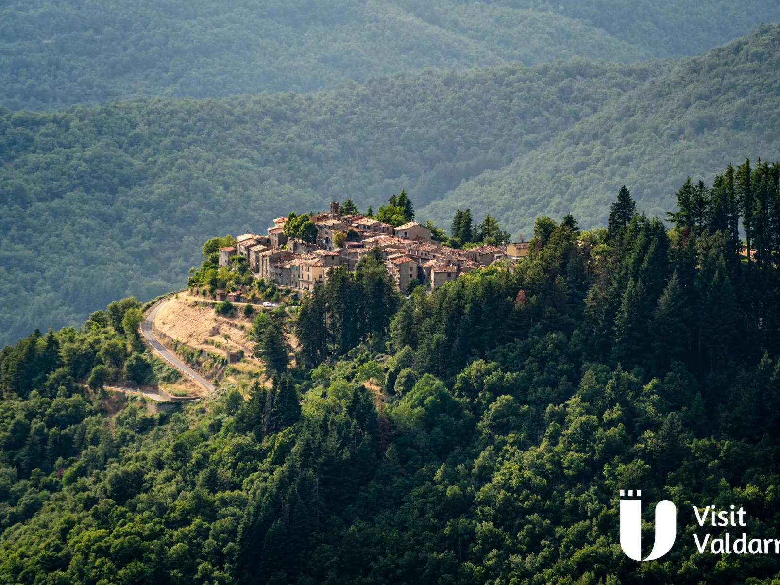 Flache Kornblume-Binnen
