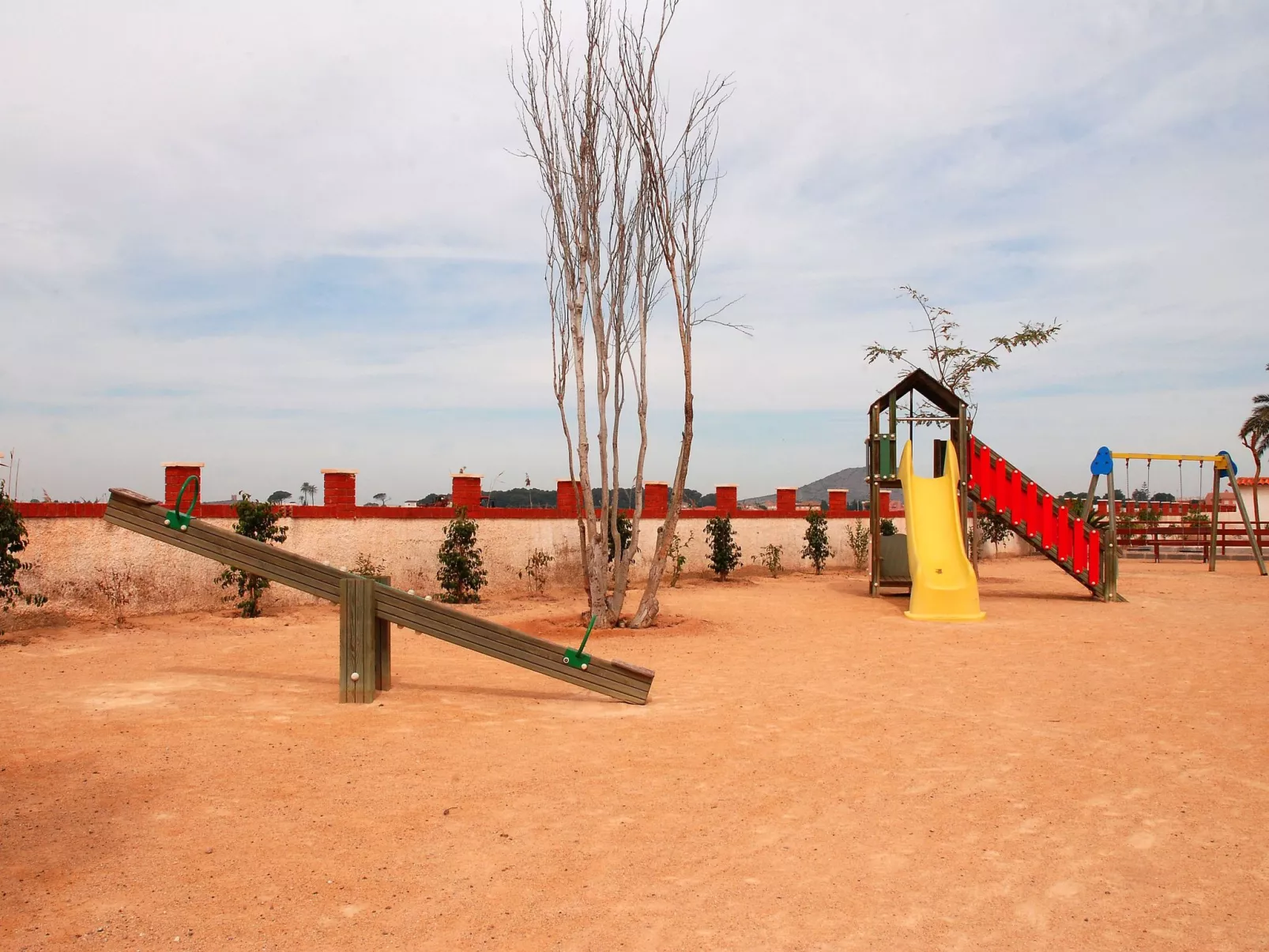 Olivos 8-Image-tags.info