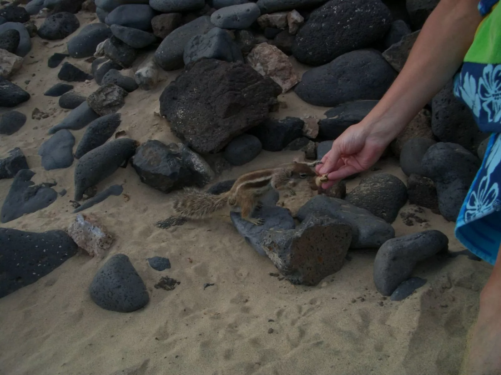 Sonniges Ferienhaus mit Grill, Garten und Pool-Image-tags.info