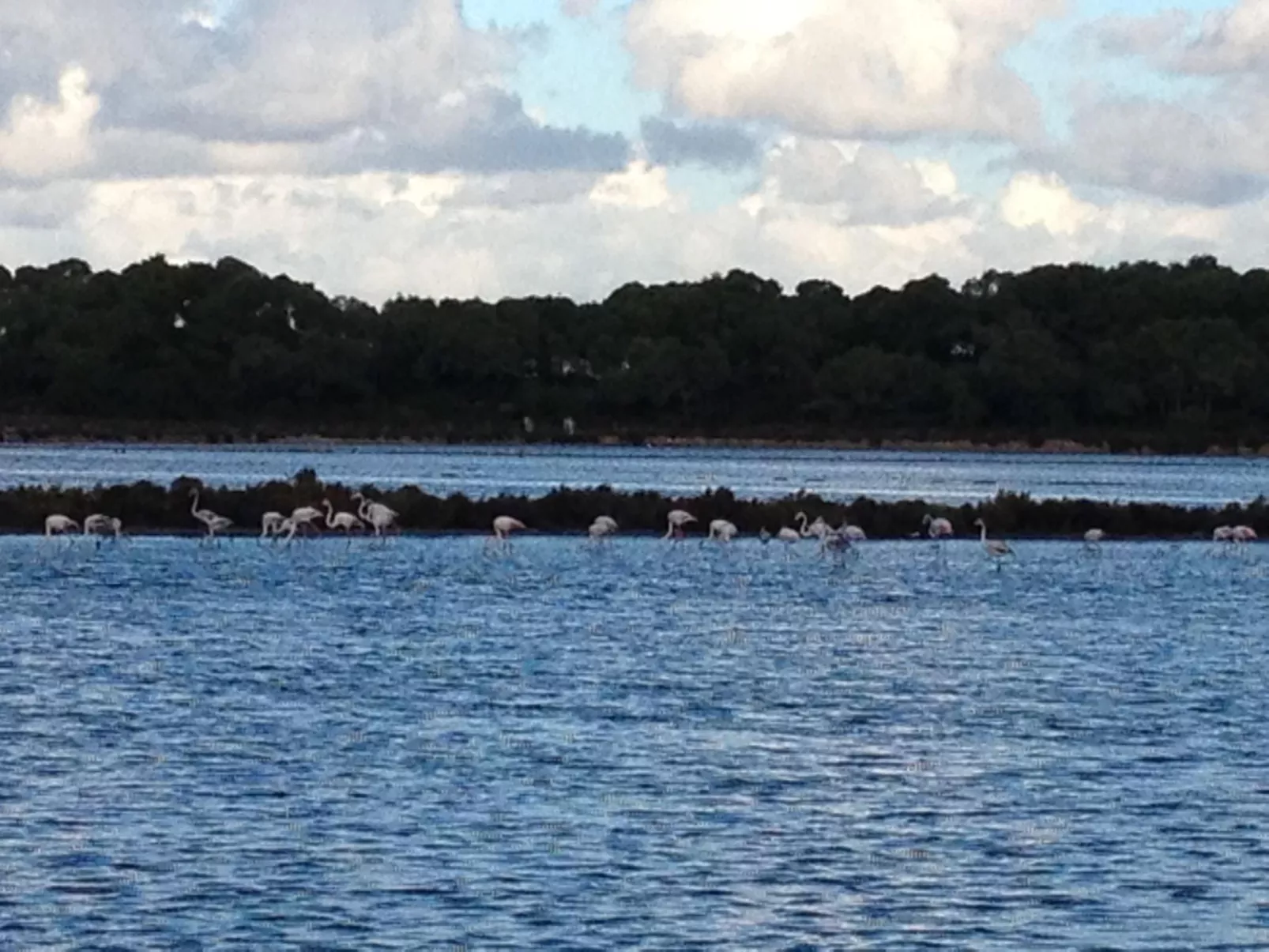 In Campos mit Privatem Pool - Buiten