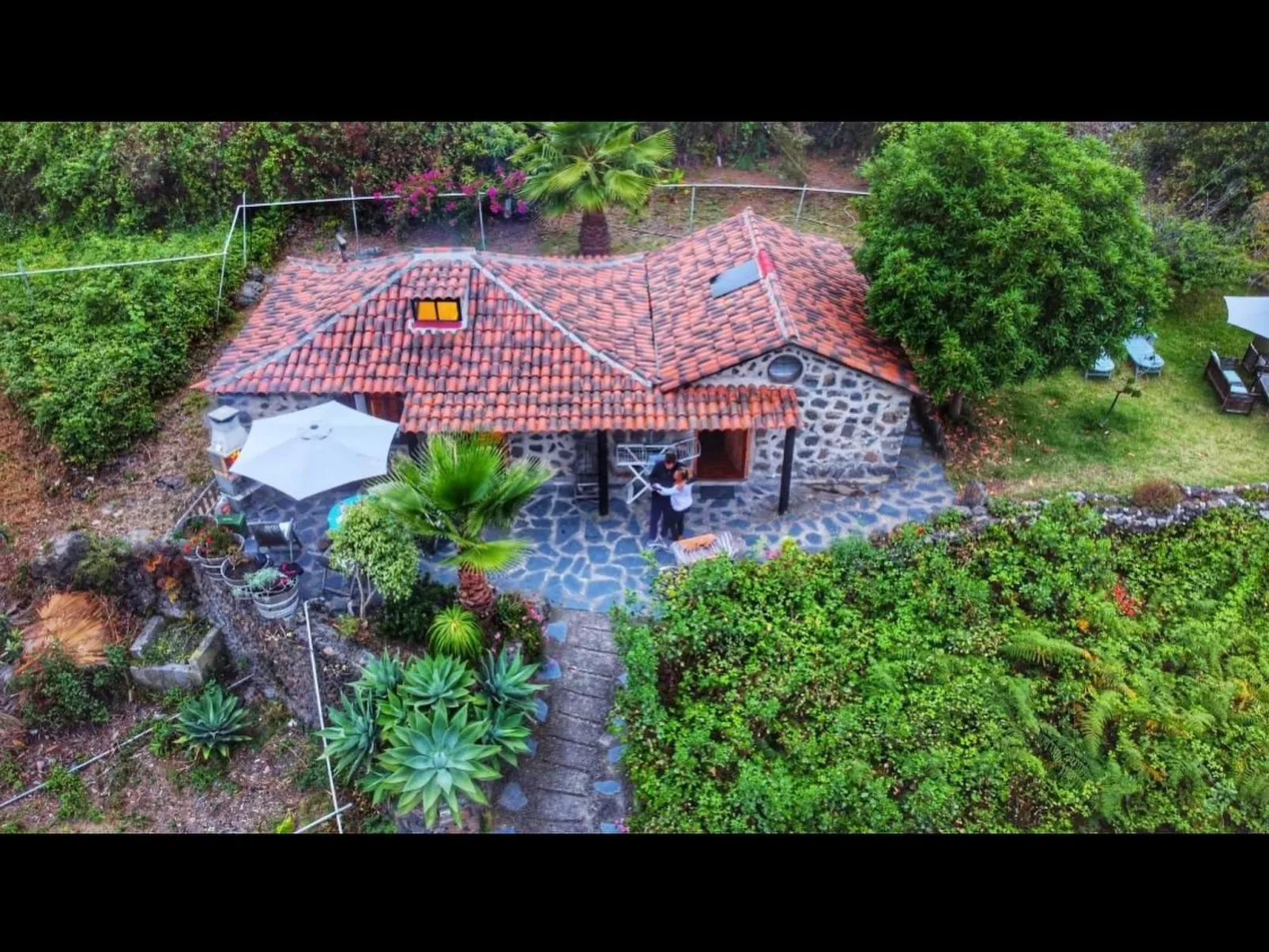 FW Cueva del Viento - Image-tags.info