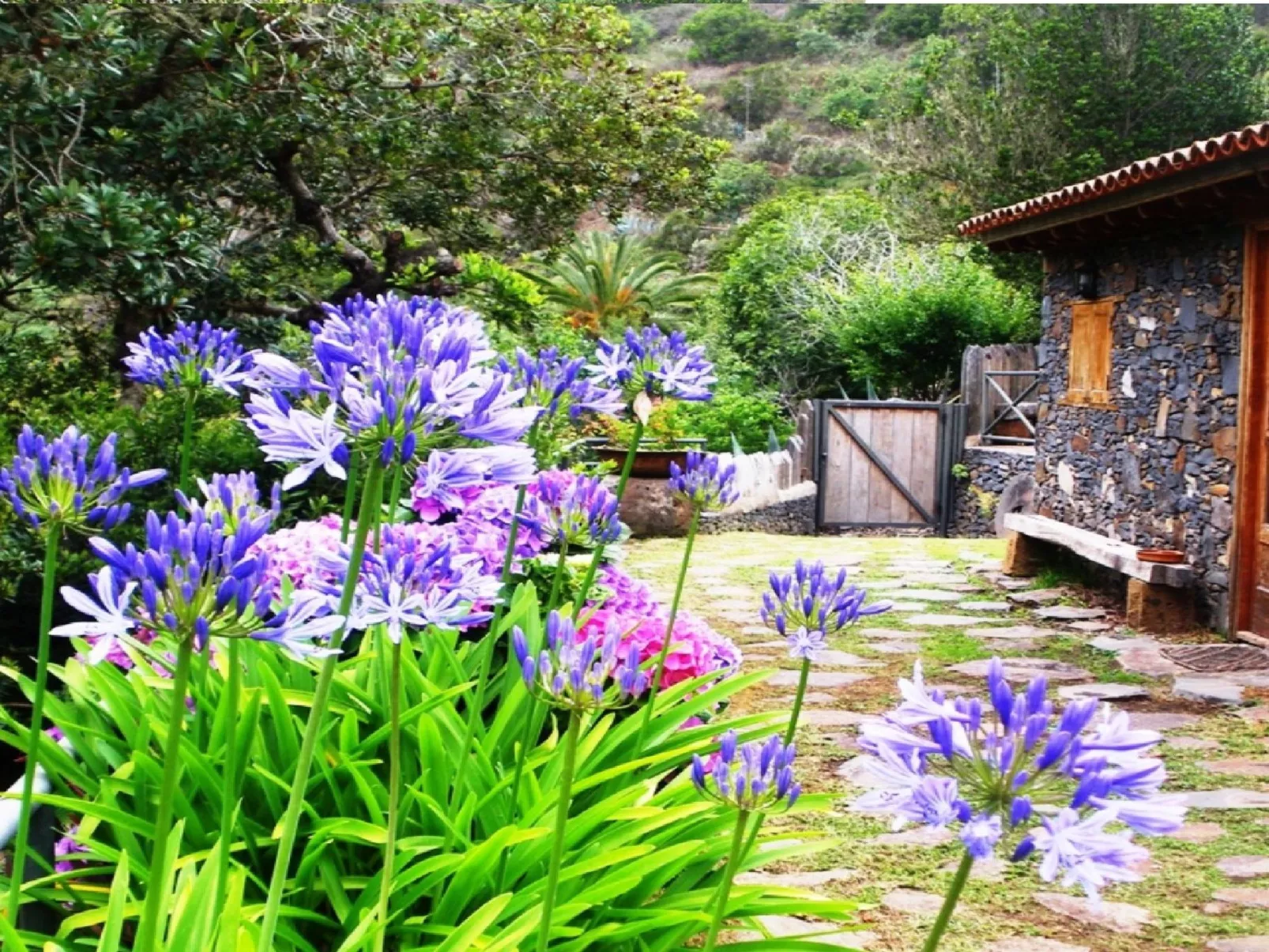 Freistehendes Ferienhaus La Maleza in La Palmita-Binnen