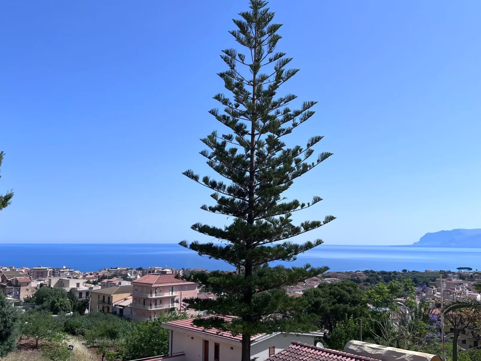 "Bouganvillae" mit Pool-Image-tags.info