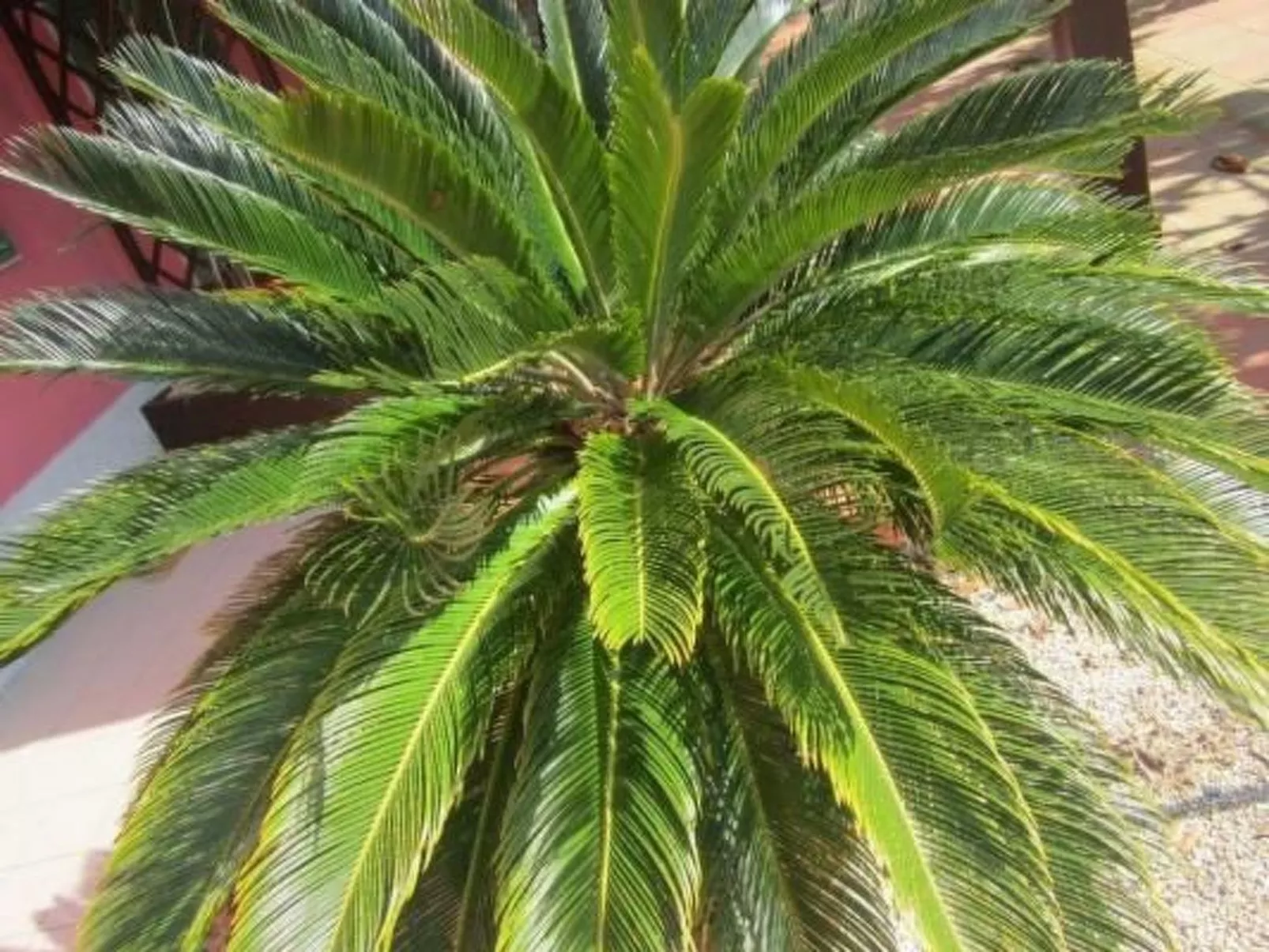 Wohnung mit Wasserblick-Binnen