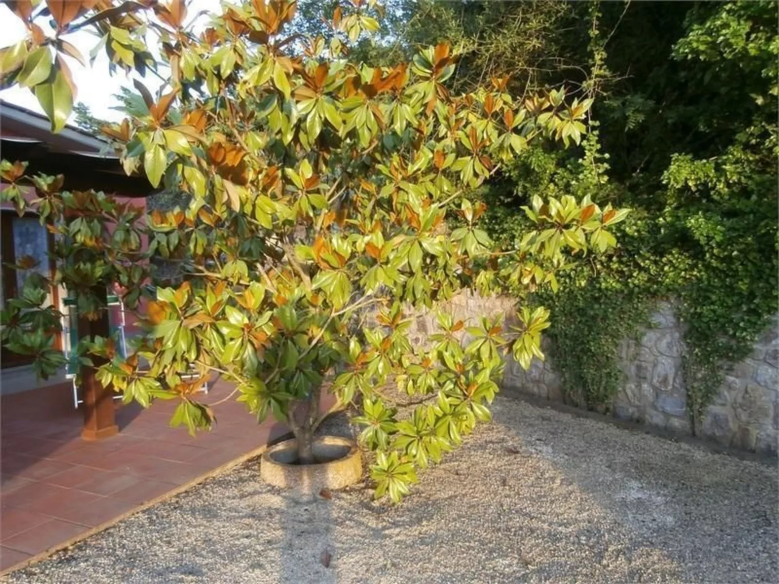 Mit Wasserblick-Image-tags.info