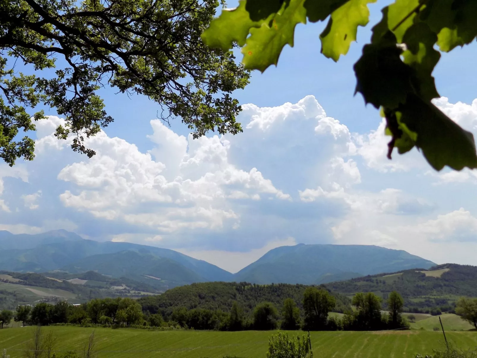 Rose in Cagli-Buiten