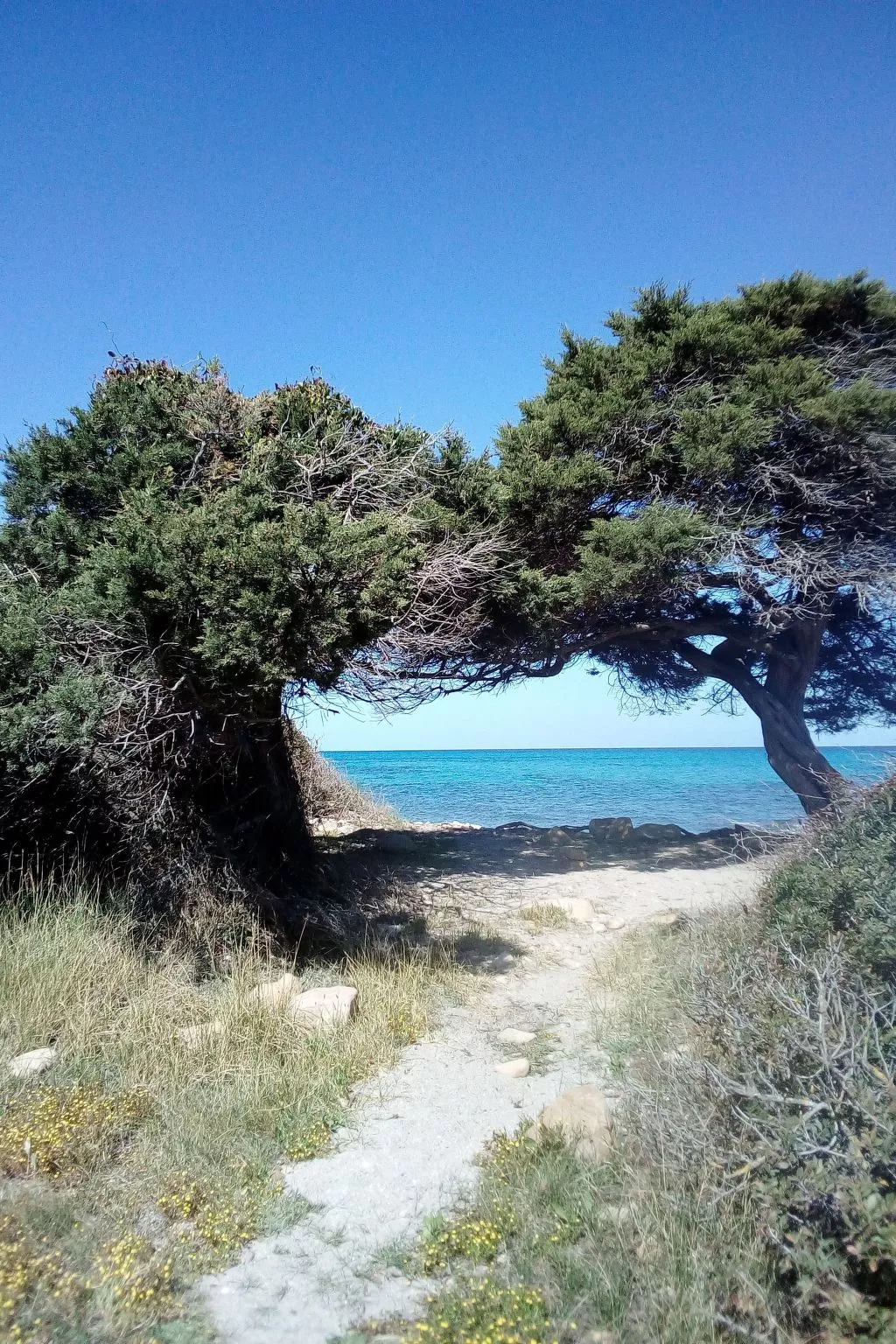 Entos La Caletta-Binnen