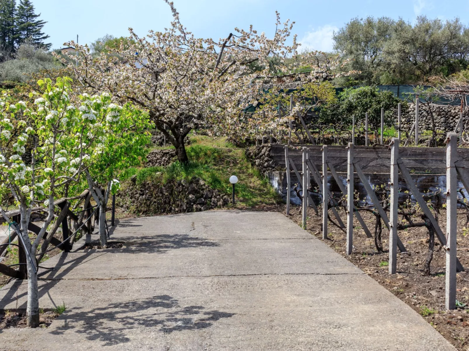 Cottage mit Whirlpool-Buiten
