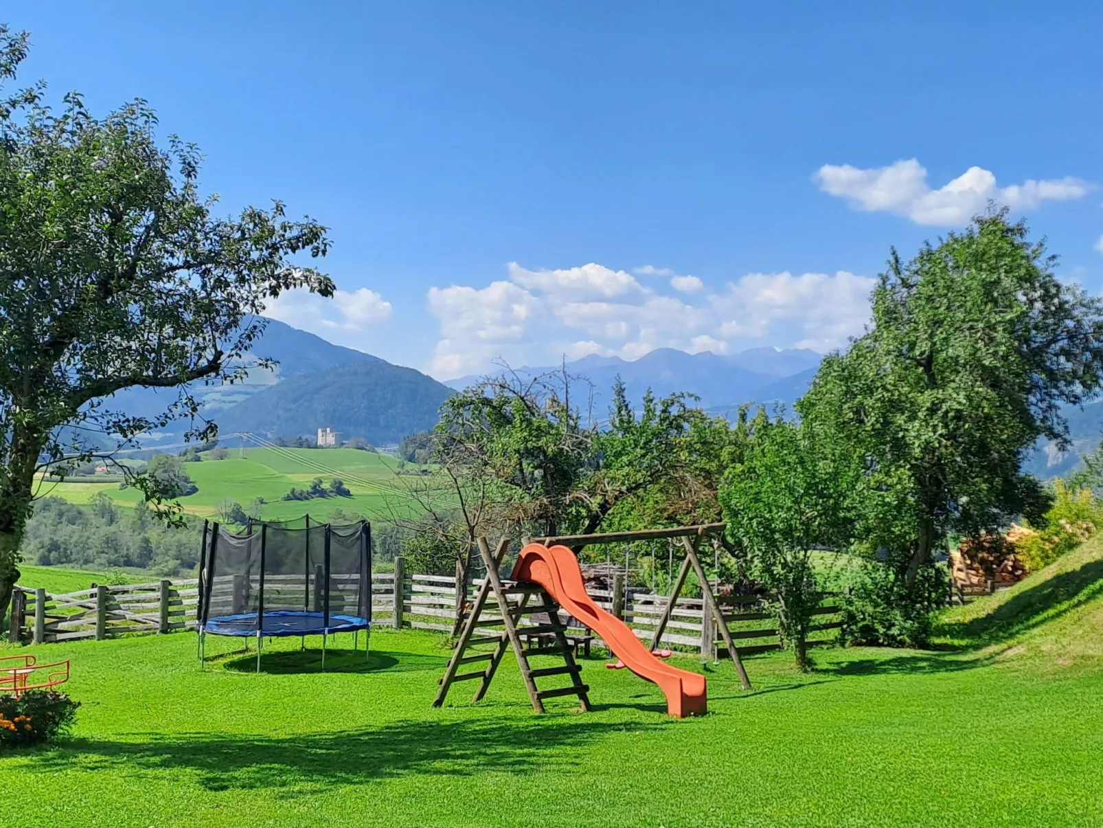 Alpenrose-Image-tags.info