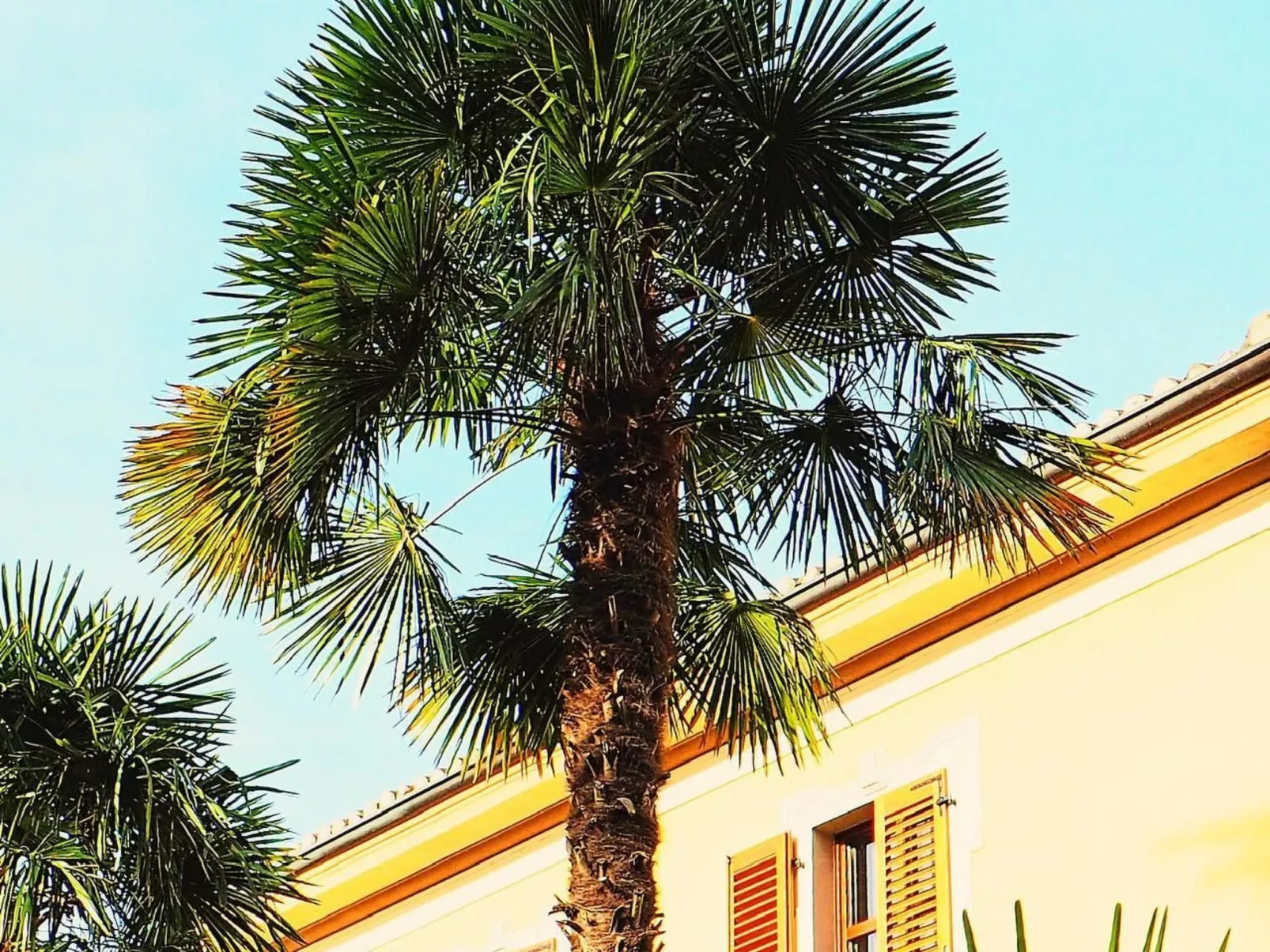 Little Paradise-Image-tags.info