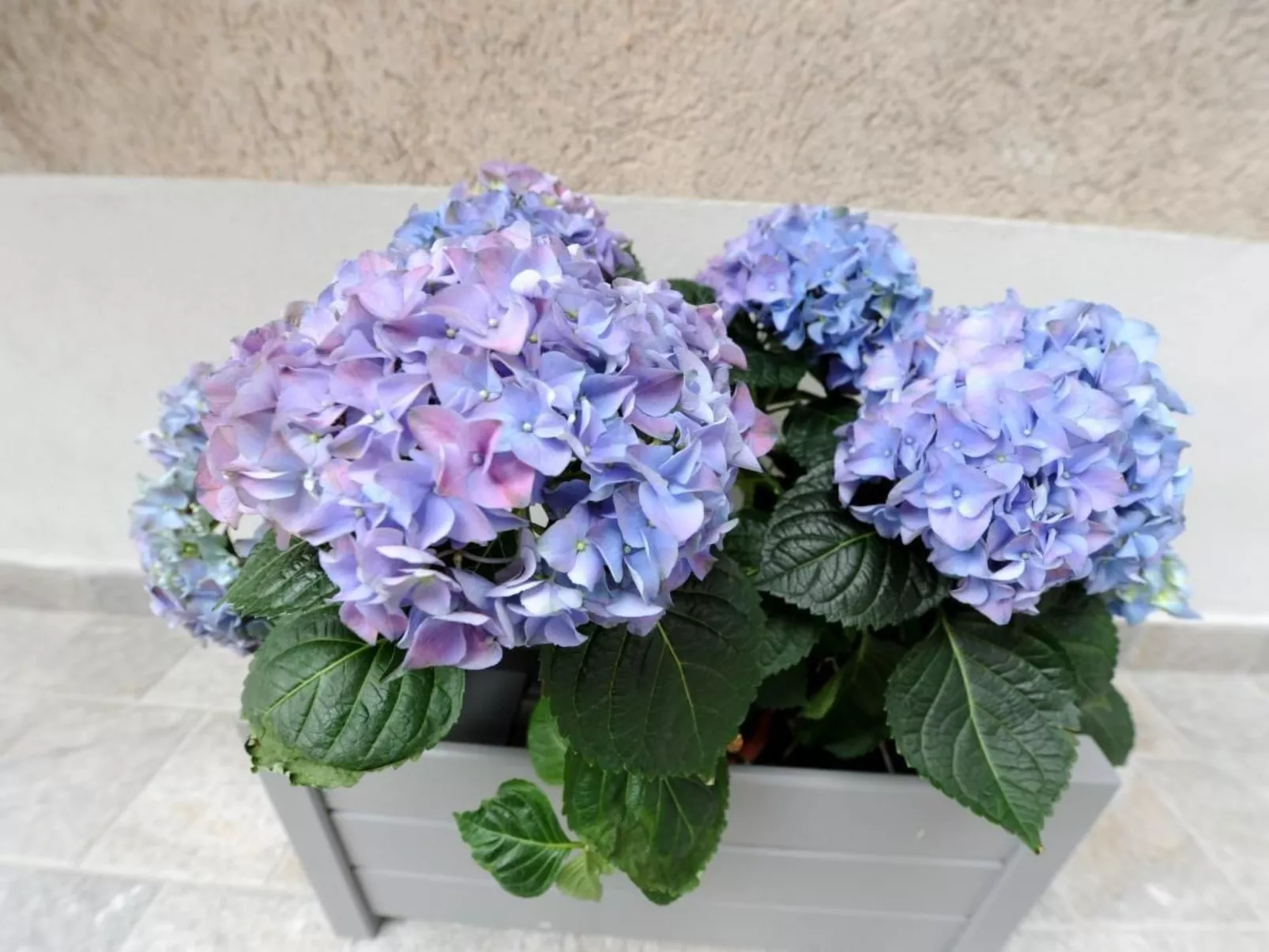 'Bella Vacanza 2-Image-tags.info