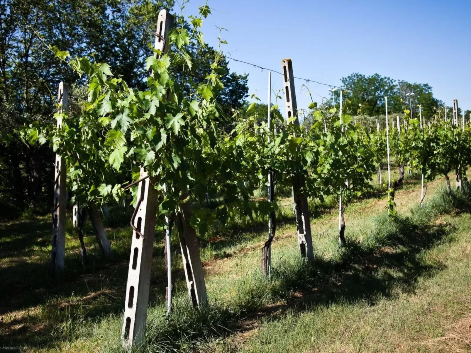 Blaue Wohnung-Buiten