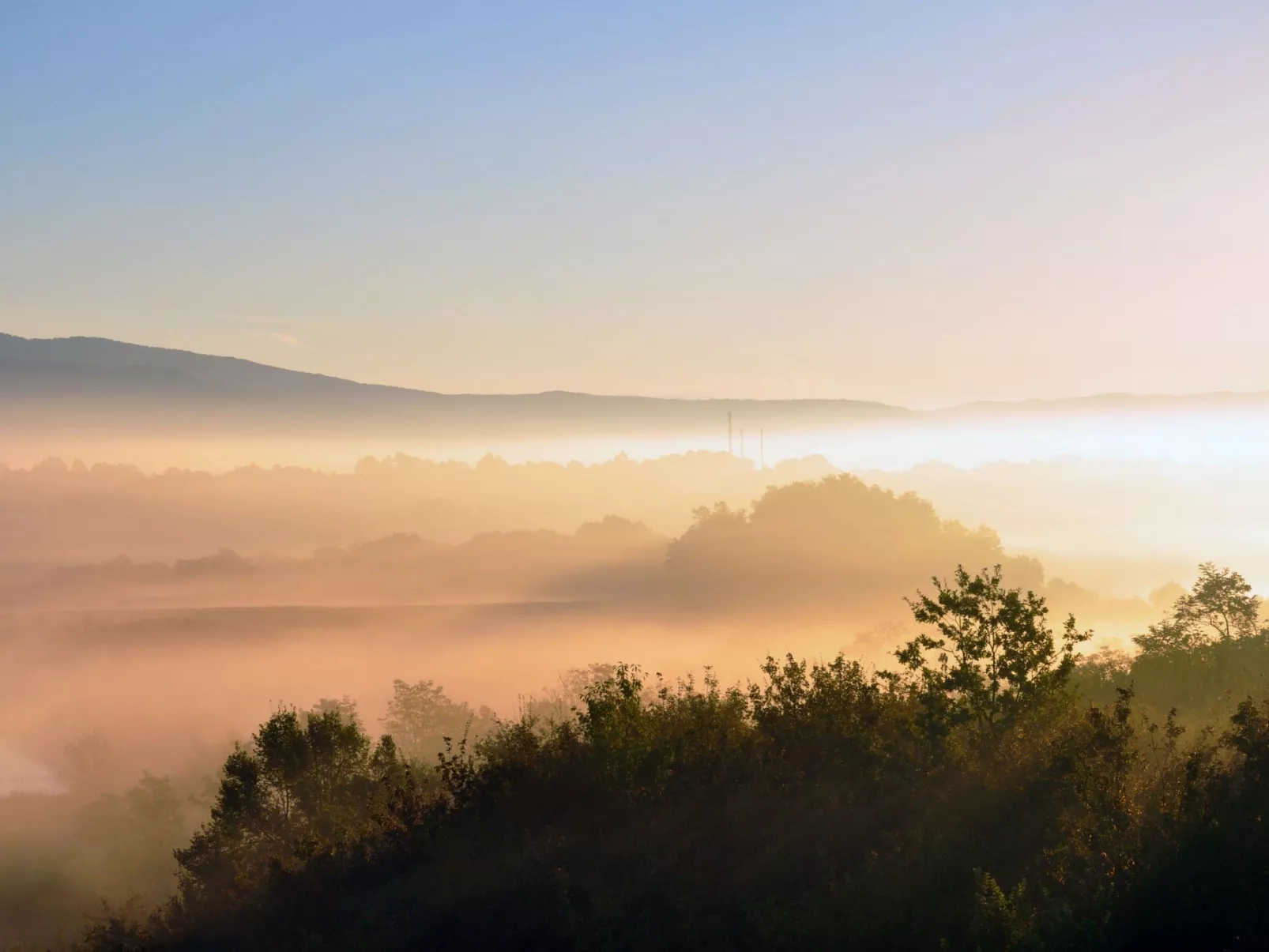 Sonnenblume Wohnung-Binnen