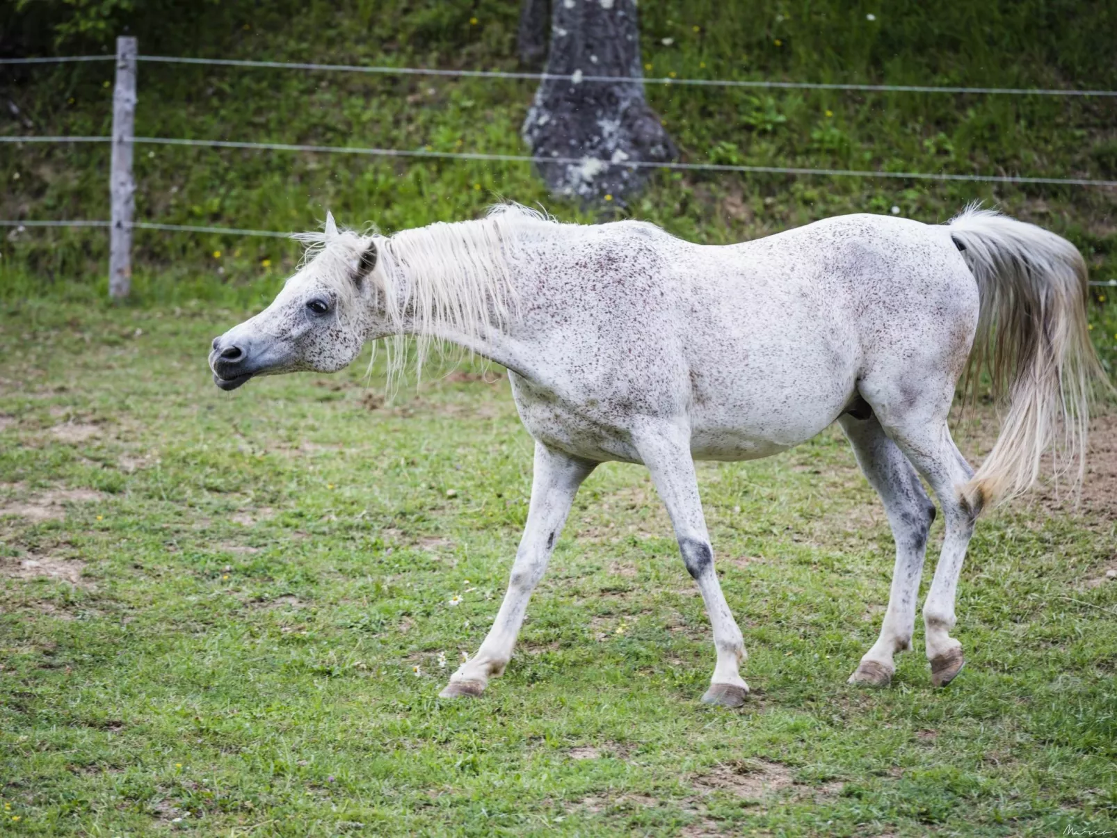'Case cioni' mit Schwimmbad-Buiten
