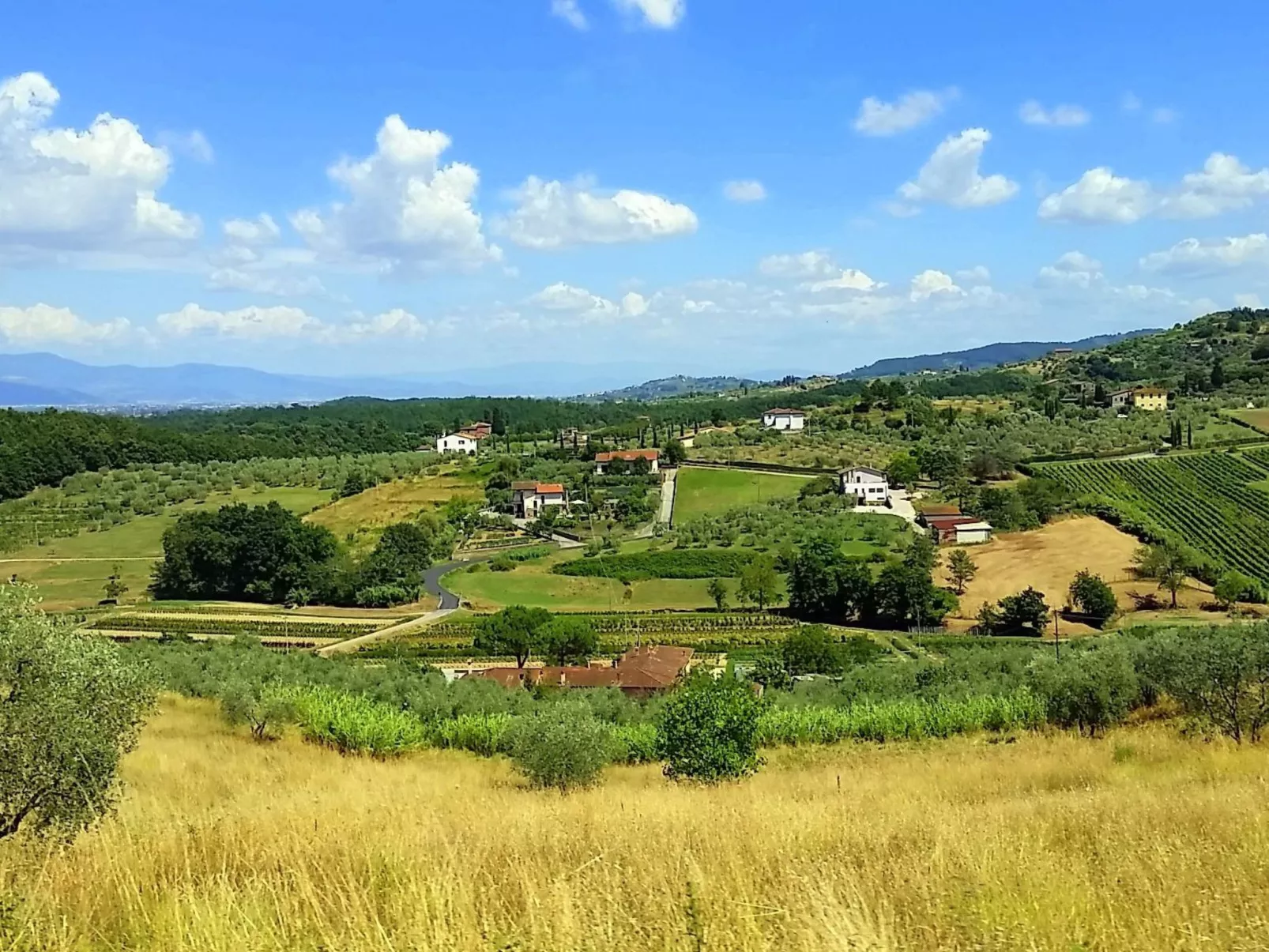 Agrotourismus - Wohnung mit Pool-Binnen