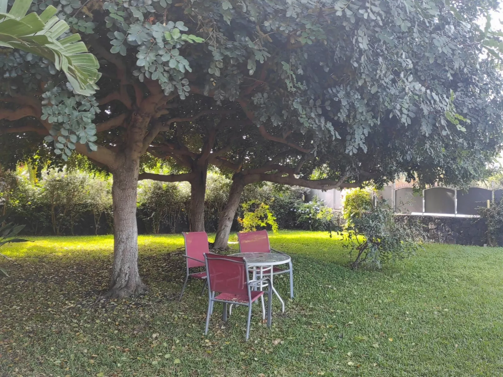 Einzimmerwohnung mit Terrasse-Binnen