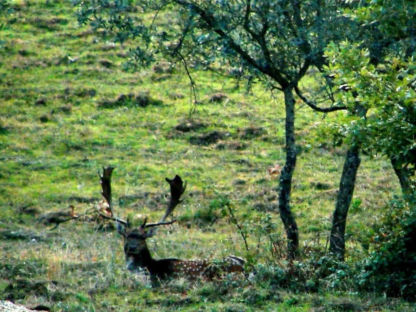 Anwesen mit Terrasse-Image-tags.info