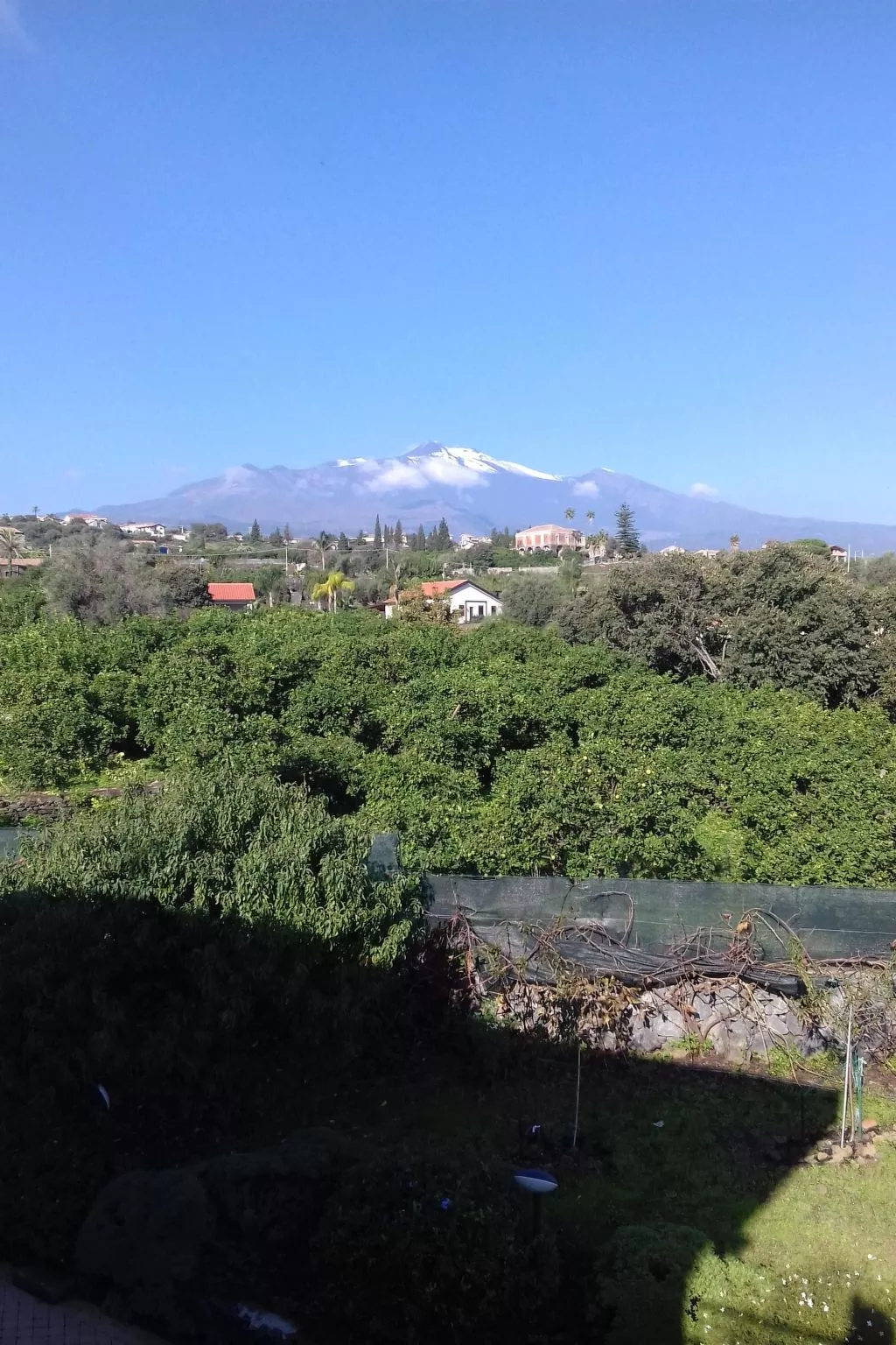 Villa delle Pomelie-Image-tags.info