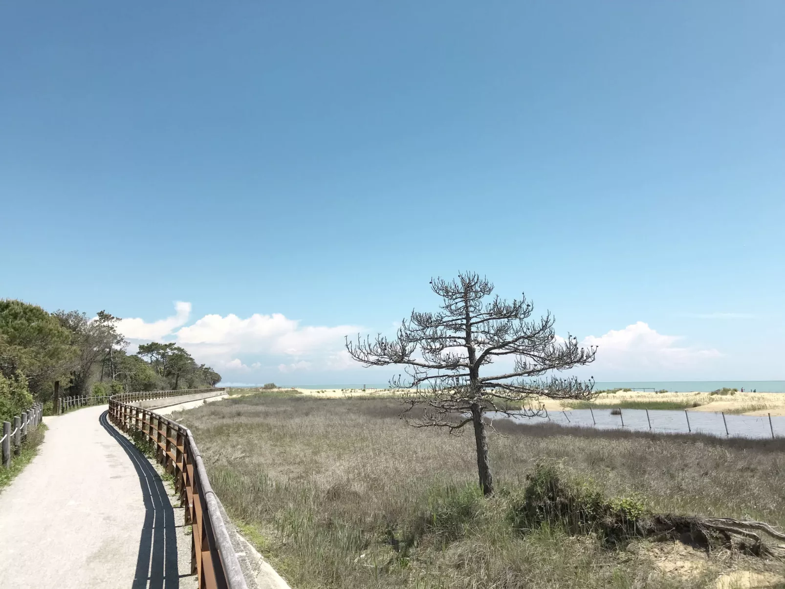 Villa für 6 Personen ca. 50qm Seestern 6A-Omgeving