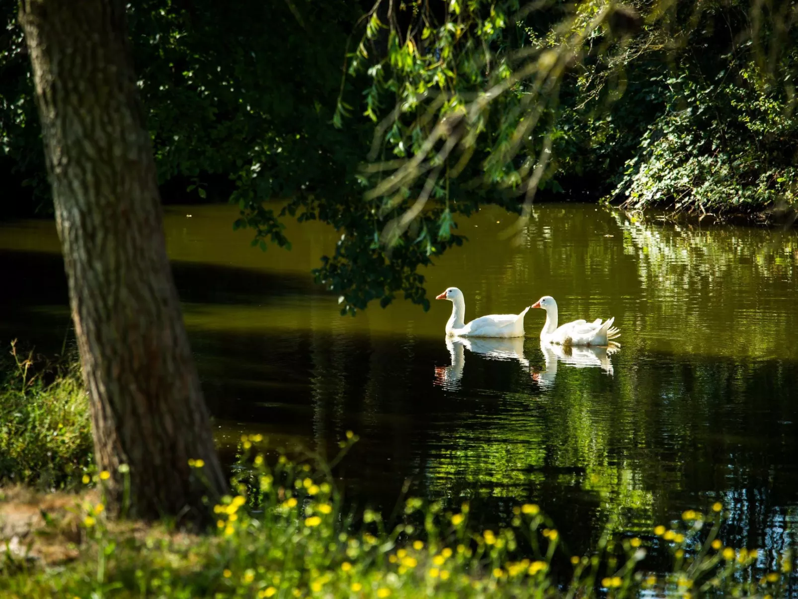 Wohnung "El Corral" mit Terrasse-Buiten