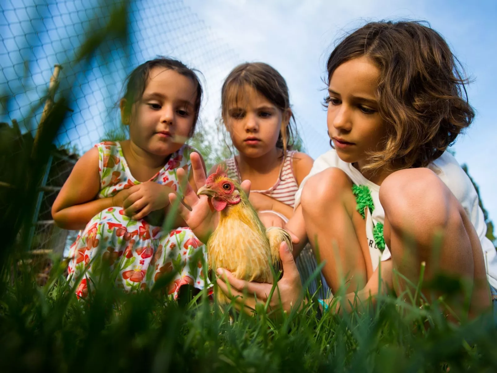 "Cobert del Carro".-Buiten