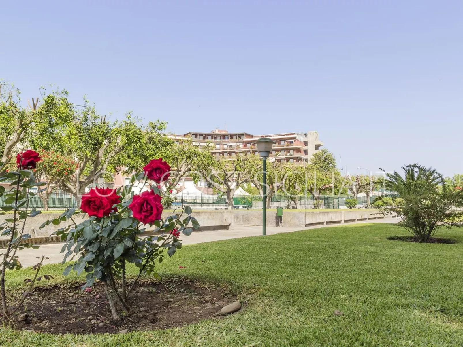 Taormina Studio 312-Image-tags.info