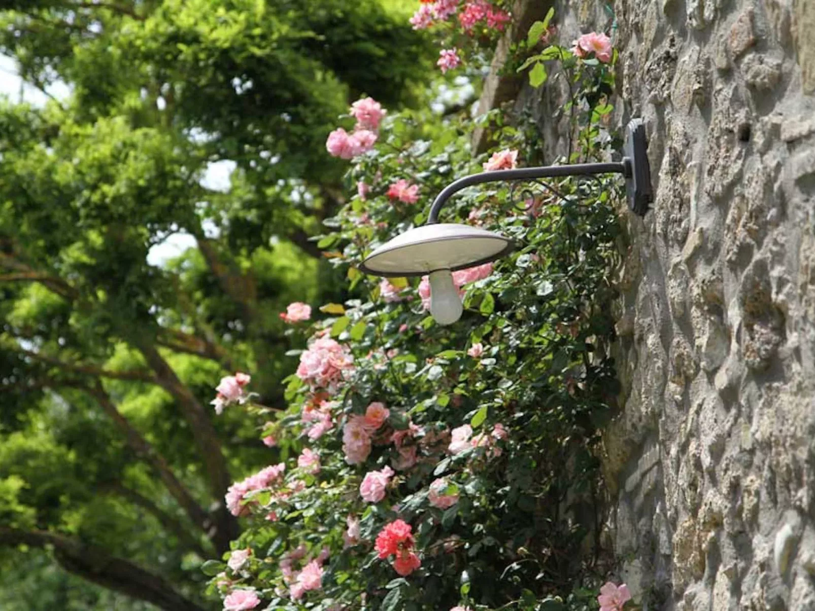 Studio für 2 bis 3 Personen-Buiten