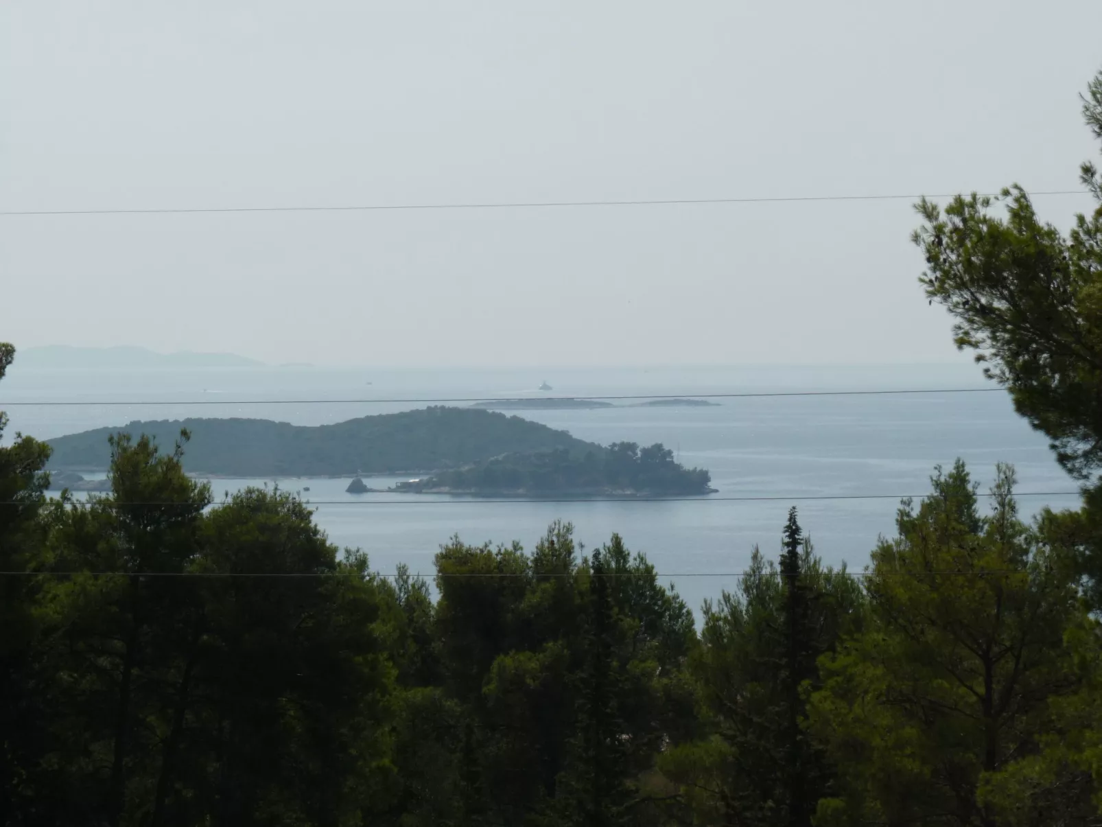 Michele-Mandarin-Buiten