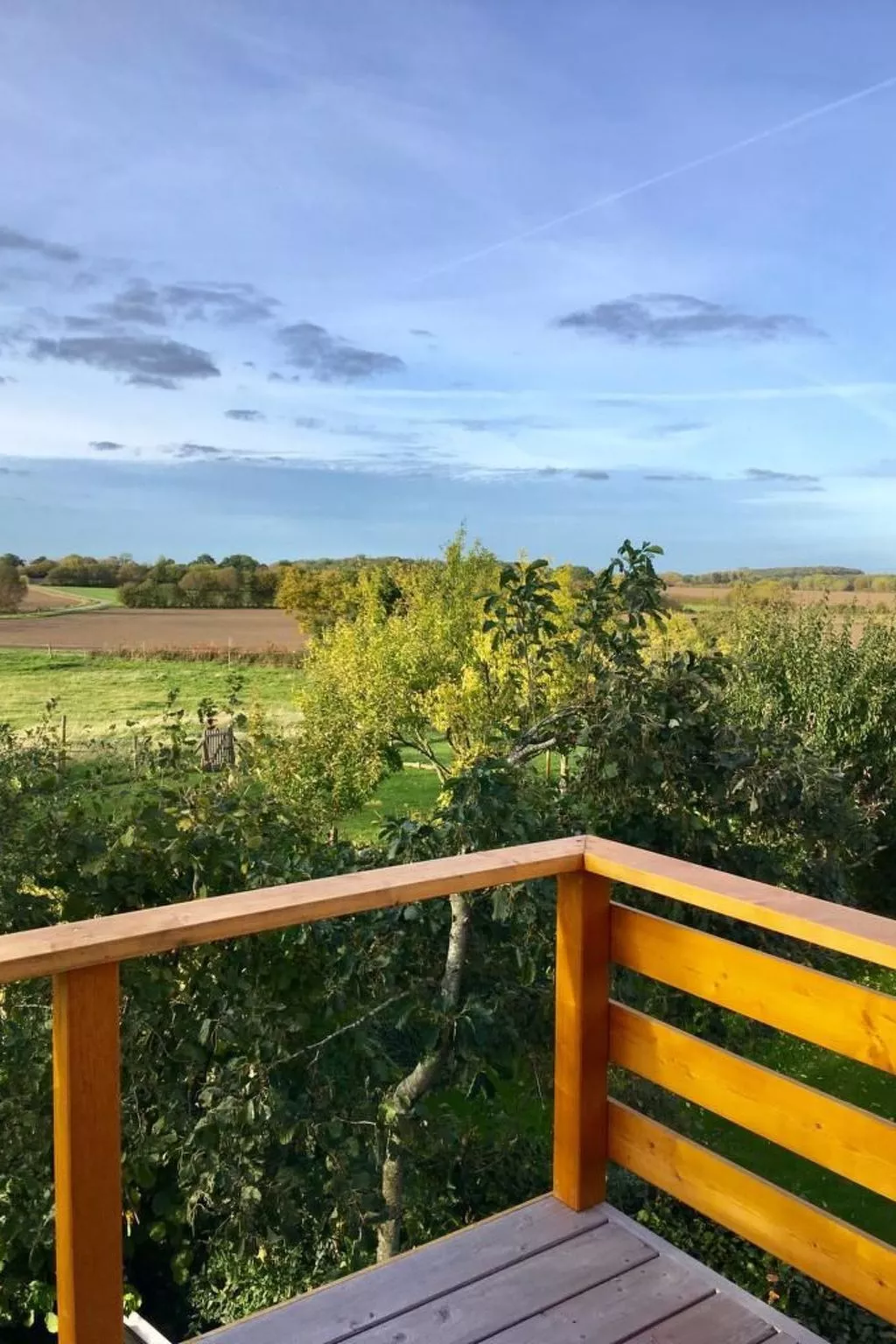 Helle Dachgeschosswohnung an der Flensburger Förde-Buiten
