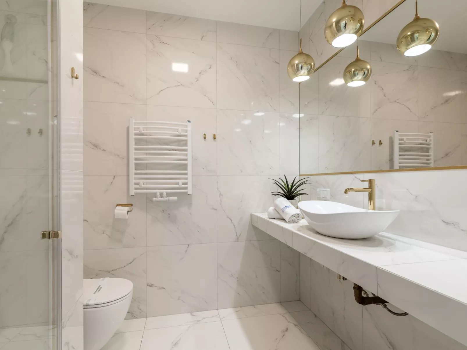 Lividus 137-Image-tags.info