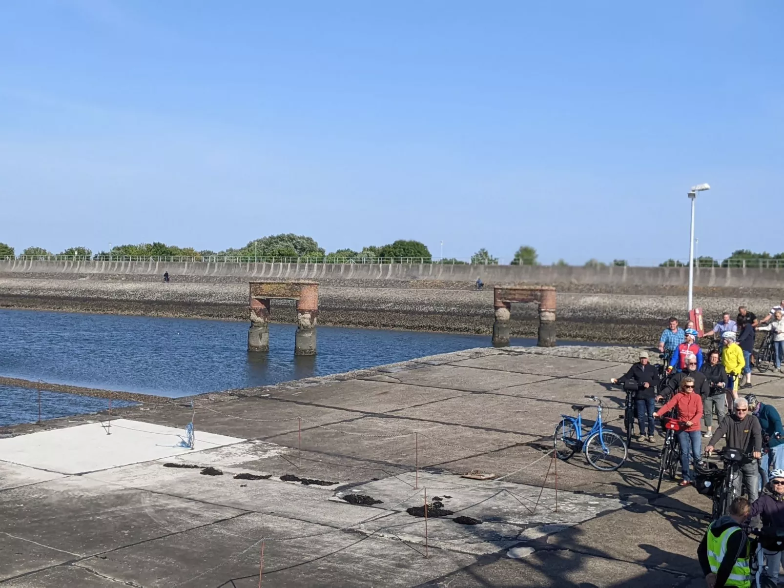 Eul in Butjadingen-Großwürden-Buiten