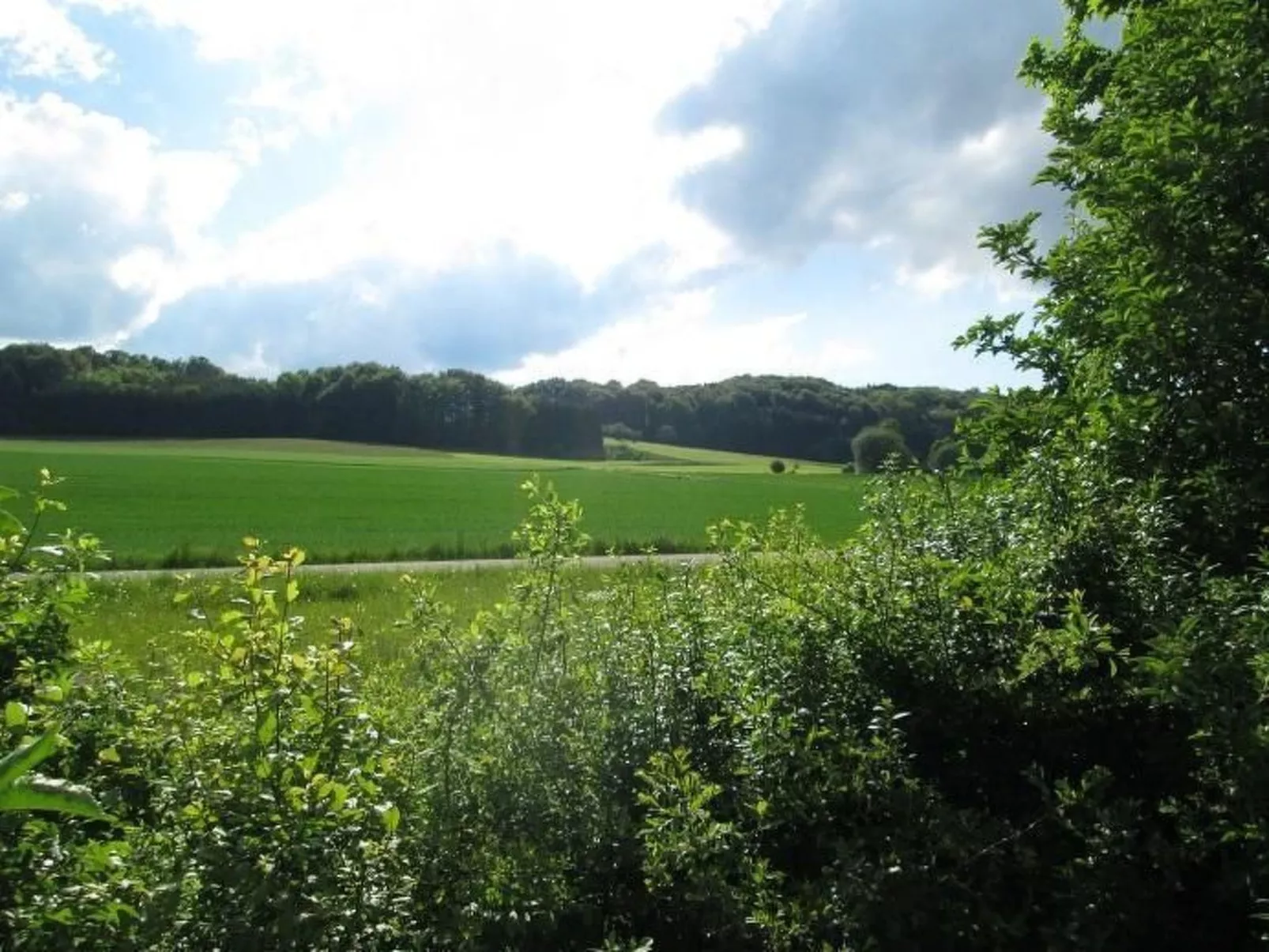 Wunderschönes Ferienhaus in Zainingen-Buiten