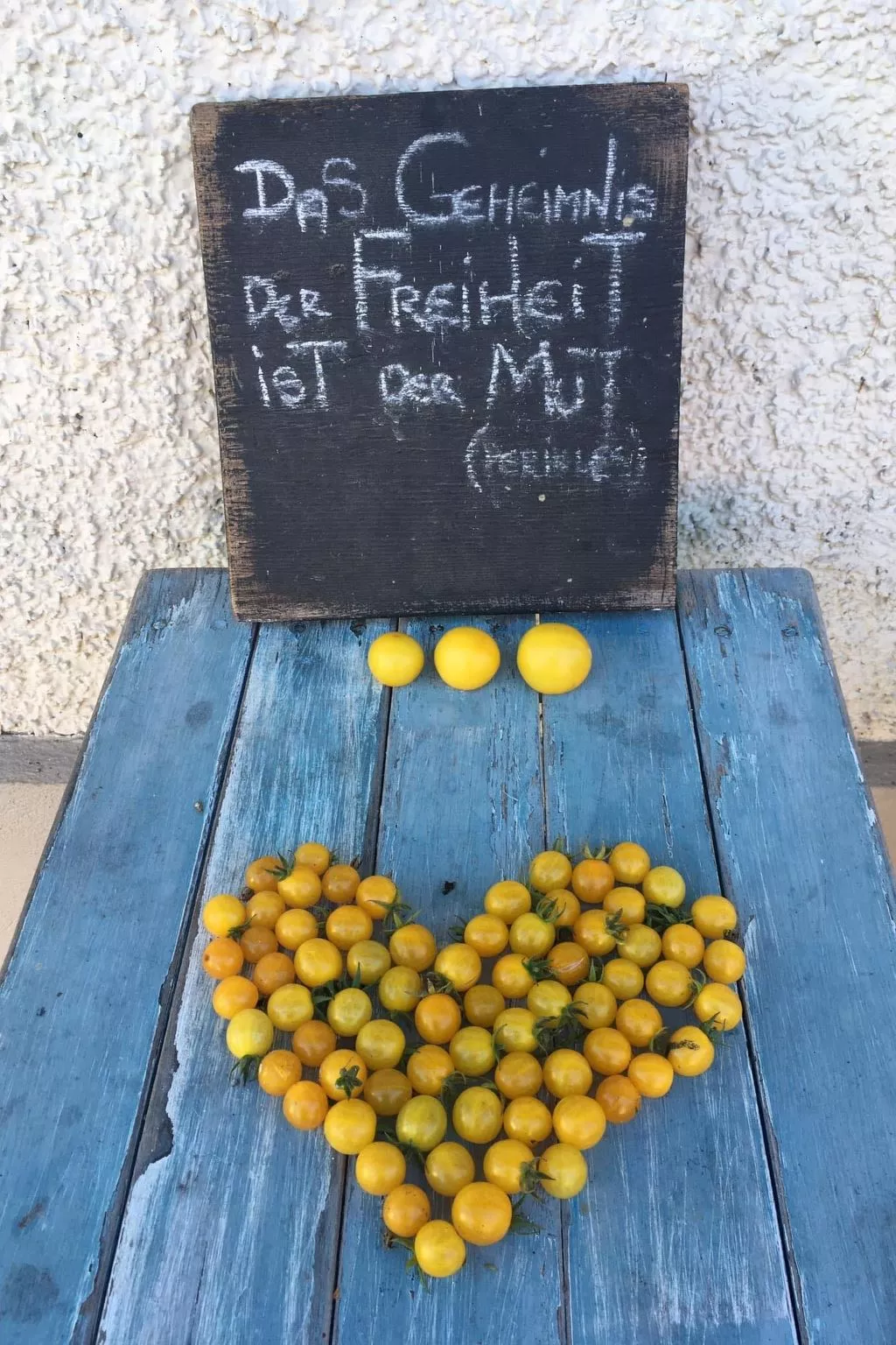 Kellerstöckl am veganen Bio-Lebenshof - Varm - the vegan Farm-Image-tags.info