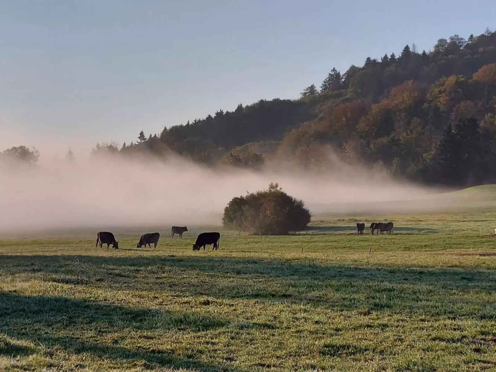 Historisches Riegel-Doppelbauernhaus-Binnen