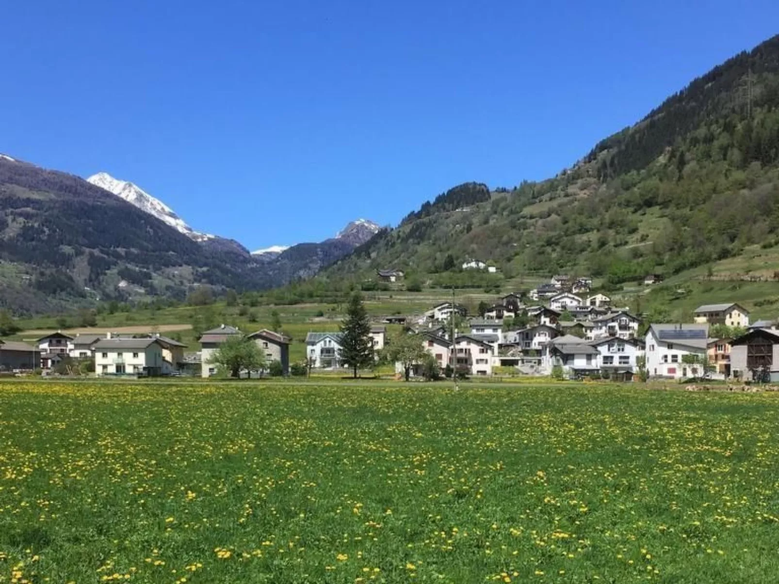 Wohnung mit Bergblick-Binnen