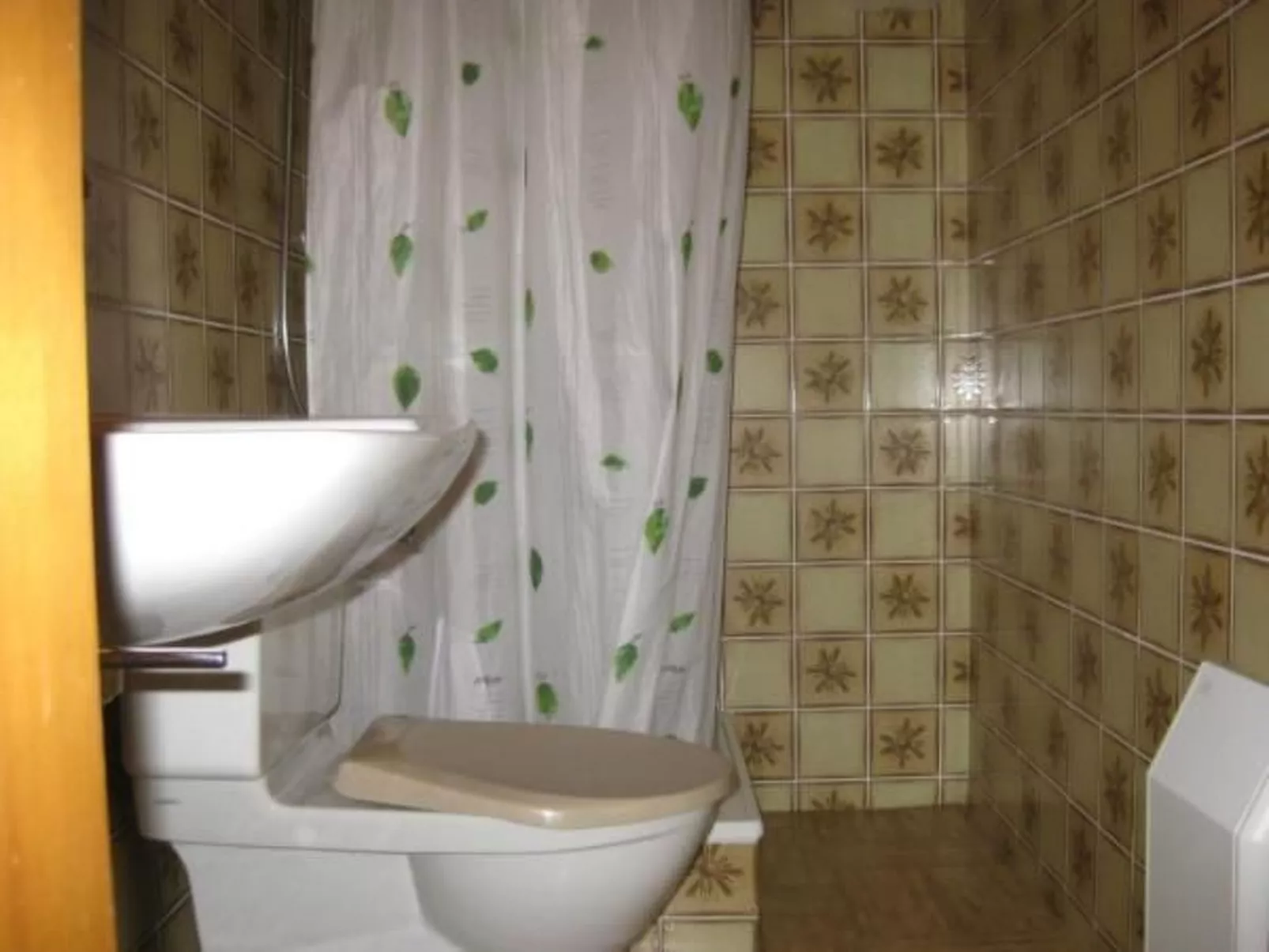 3 1/2 Zimmer-Wohnung in Salouf, oberhalb Savognin-Binnen