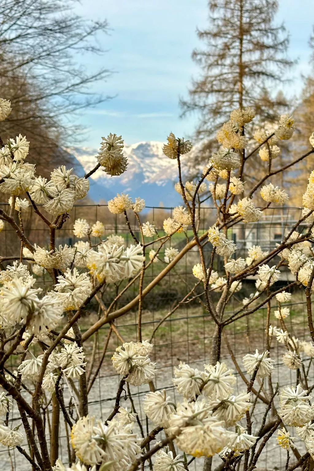 Insel-Ferienhaus-Image-tags.info