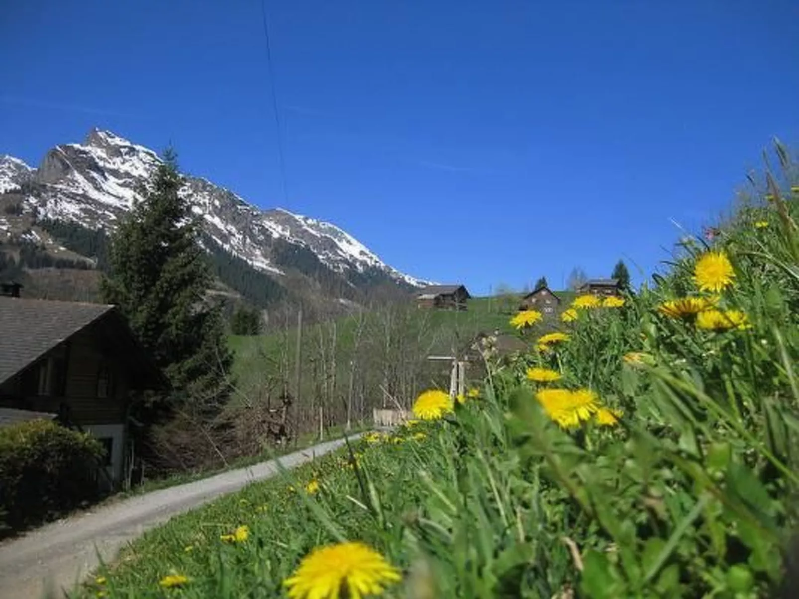 Weissenberge Gfell-Buiten